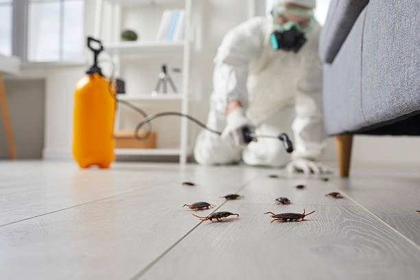 Commercial Kitchen Cockroach Control in Medford